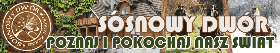 sosnowy dw�r